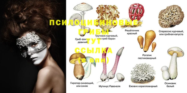 метадон Алексеевка