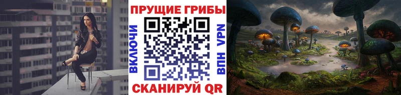 как найти наркотики Еманжелинск Псилоцибиновые грибы GOLDEN TEACHER